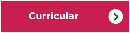 6-curricular.png